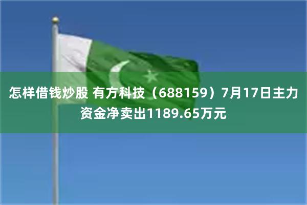 怎样借钱炒股 有方科技（688159）7月17日主力资金净卖出1189.65万元