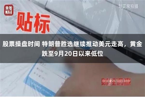 股票操盘时间 特朗普胜选继续推动美元走高，黄金跌至9月20日以来低位