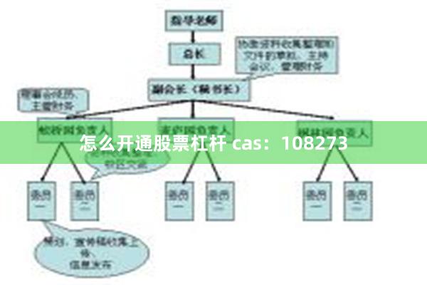怎么开通股票杠杆 cas：108273