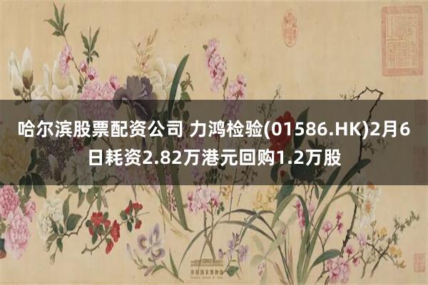 哈尔滨股票配资公司 力鸿检验(01586.HK)2月6日耗资2.82万港元回购1.2万股