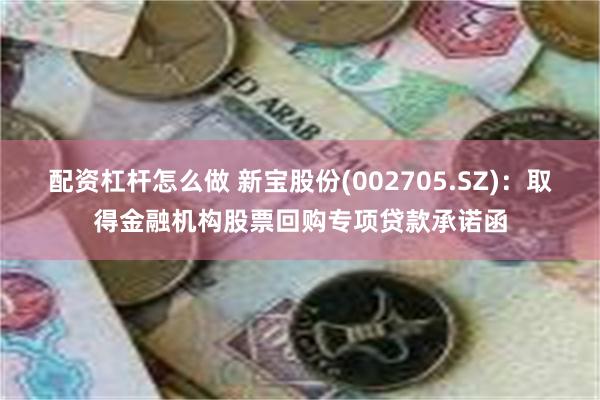 配资杠杆怎么做 新宝股份(002705.SZ)：取得金融机构股票回购专项贷款承诺函