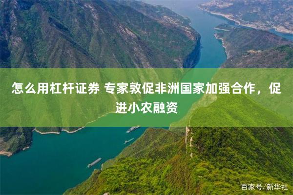 怎么用杠杆证券 专家敦促非洲国家加强合作，促进小农融资