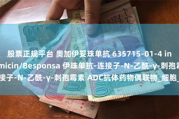 股票正规平台 奥加伊妥珠单抗 635715-01-4 inotuzumab ozogamicin/Besponsa 伊珠单抗-连接子-N-乙酰-γ-刺孢霉素 ADC抗体药物偶联物_细胞_是一种_淋巴