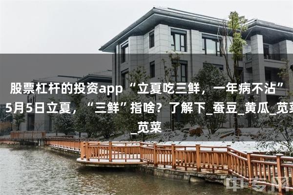 股票杠杆的投资app “立夏吃三鲜，一年病不沾”，5月5日立夏，“三鲜”指啥？了解下_蚕豆_黄瓜_苋菜