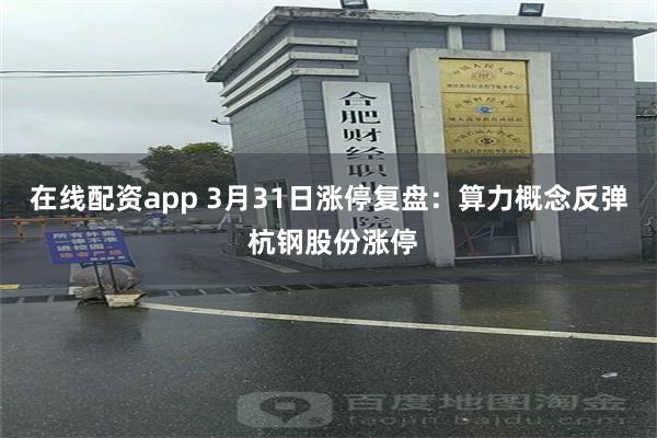 在线配资app 3月31日涨停复盘：算力概念反弹 杭钢股份涨停
