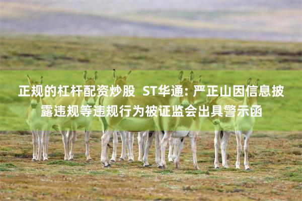正规的杠杆配资炒股  ST华通: 严正山因信息披露违规等违规行为被证监会出具警示函