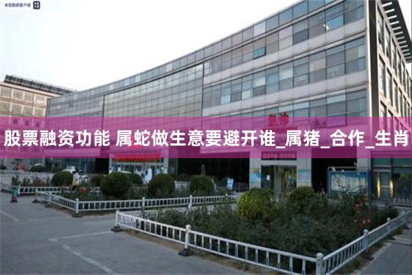 股票融资功能 属蛇做生意要避开谁_属猪_合作_生肖