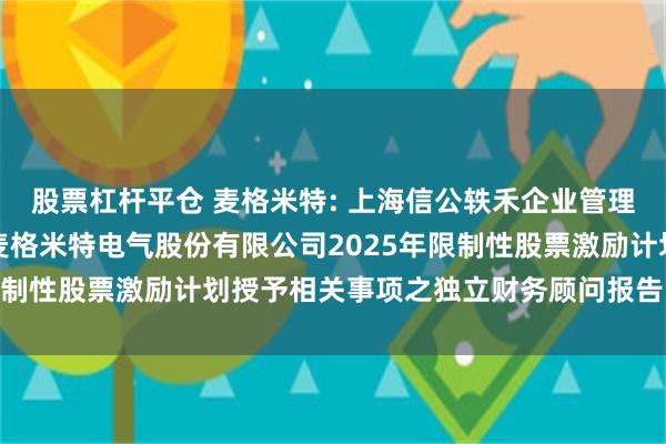 股票杠杆平仓 麦格米特: 上海信公轶禾企业管理咨询有限公司关于深圳麦格米特电气股份有限公司2025年限制性股票激励计划授予相关事项之独立财务顾问报告内容摘要