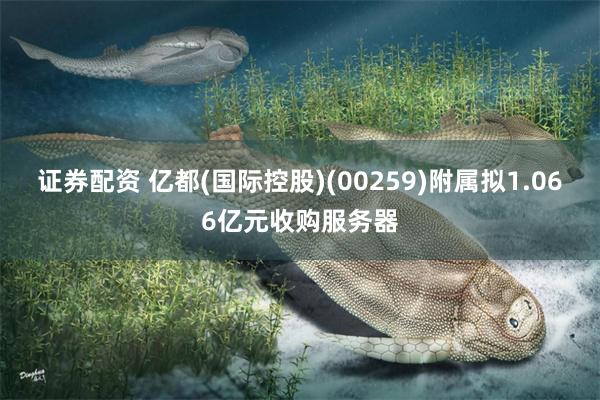 证券配资 亿都(国际控股)(00259)附属拟1.066亿元收购服务器