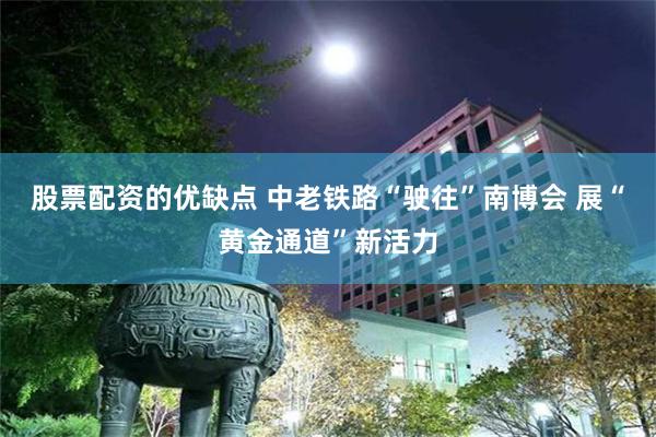 股票配资的优缺点 中老铁路“驶往”南博会 展“黄金通道”新活力