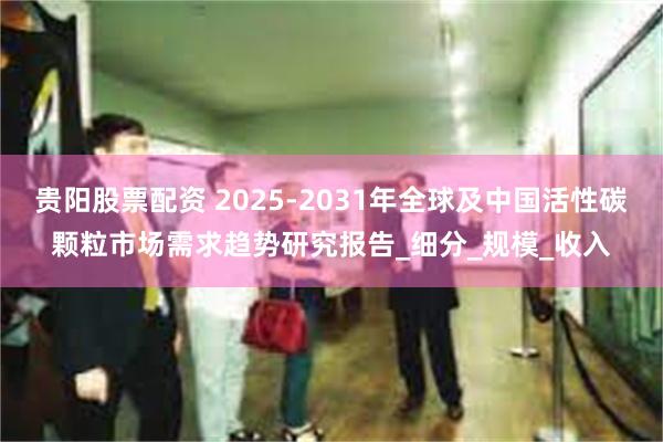 贵阳股票配资 2025-2031年全球及中国活性碳颗粒市场需
