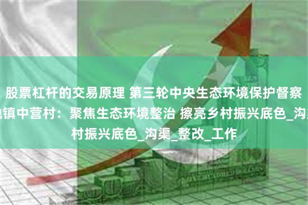 股票杠杆的交易原理 第三轮中央生态环境保护督察丨汉阴县涧池镇