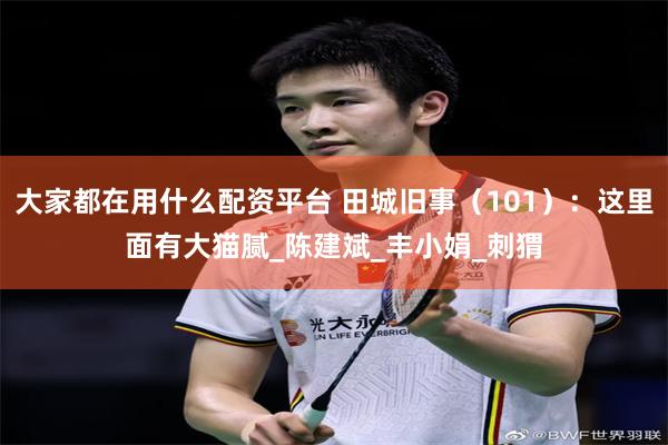 大家都在用什么配资平台 田城旧事（101）：这里面有大猫腻_陈建斌_丰小娟_刺猬
