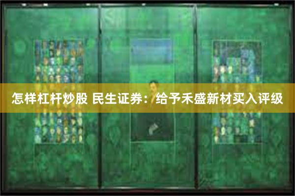 怎样杠杆炒股 民生证券：给予禾盛新材买入评级
