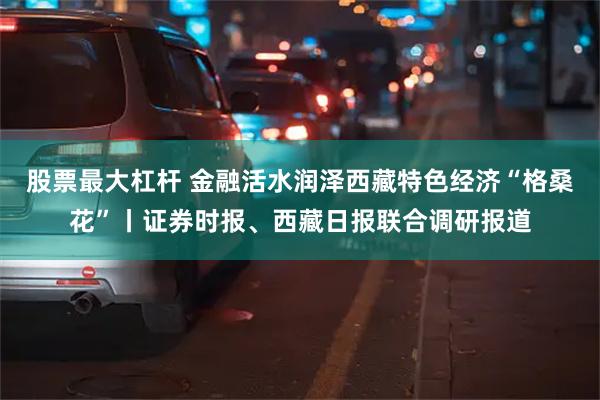 股票最大杠杆 金融活水润泽西藏特色经济“格桑花”丨证券时报、西藏日报联合调研报道