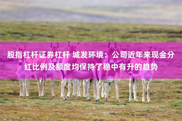 股指杠杆证券杠杆 城发环境：公司近年来现金分红比例及额度均保