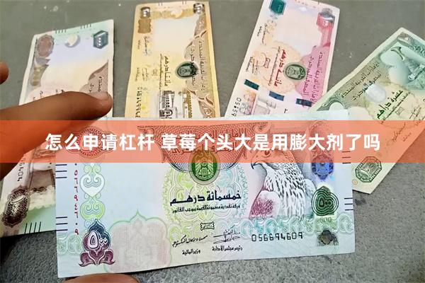 怎么申请杠杆 草莓个头大是用膨大剂了吗