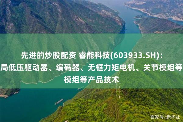 先进的炒股配资 睿能科技(603933.SH)：将积极布局低压驱动器、编码器、无框力矩电机、关节模组等产品技术